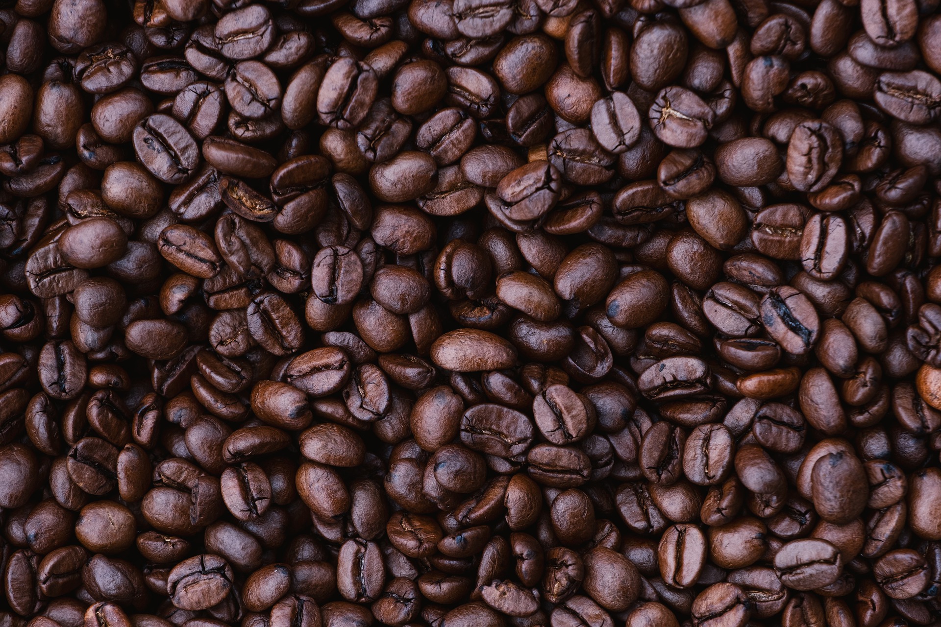 Choosing Wholesale Coffee Suppliers