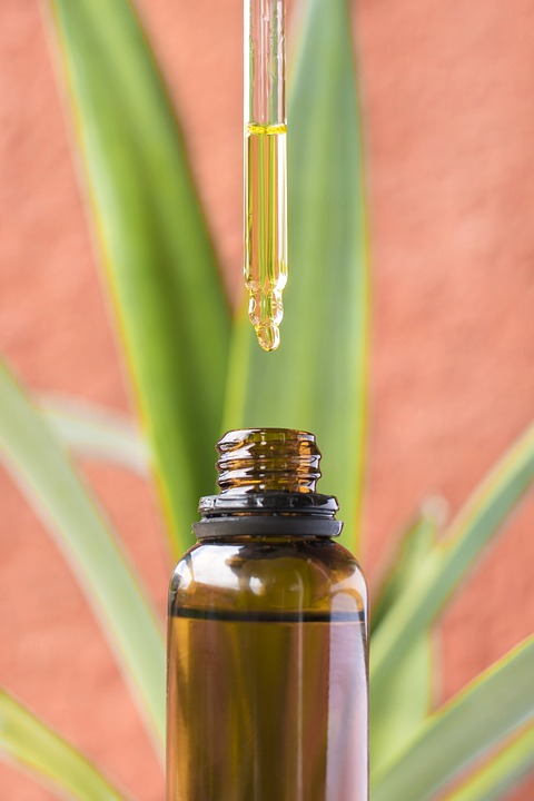 CBD Oil In Hong Kong – Everything You Need To Know