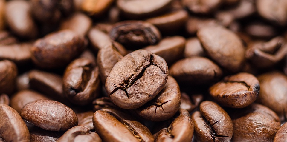 How To Choose Best Coffee Beans NZ