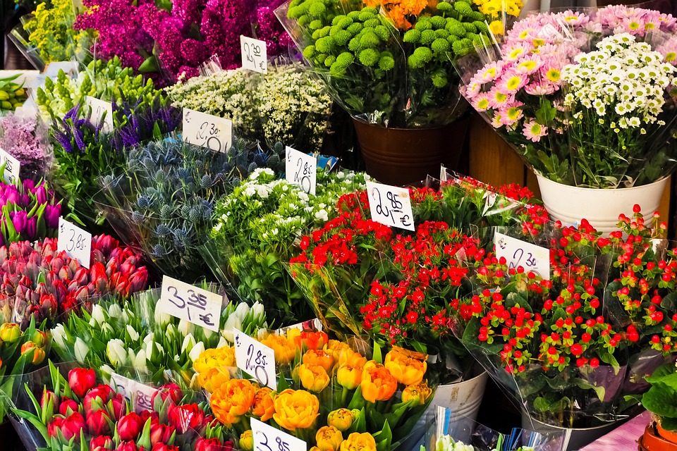 A Guide To Buying Unique, Rare Kalgoorlie Flowers