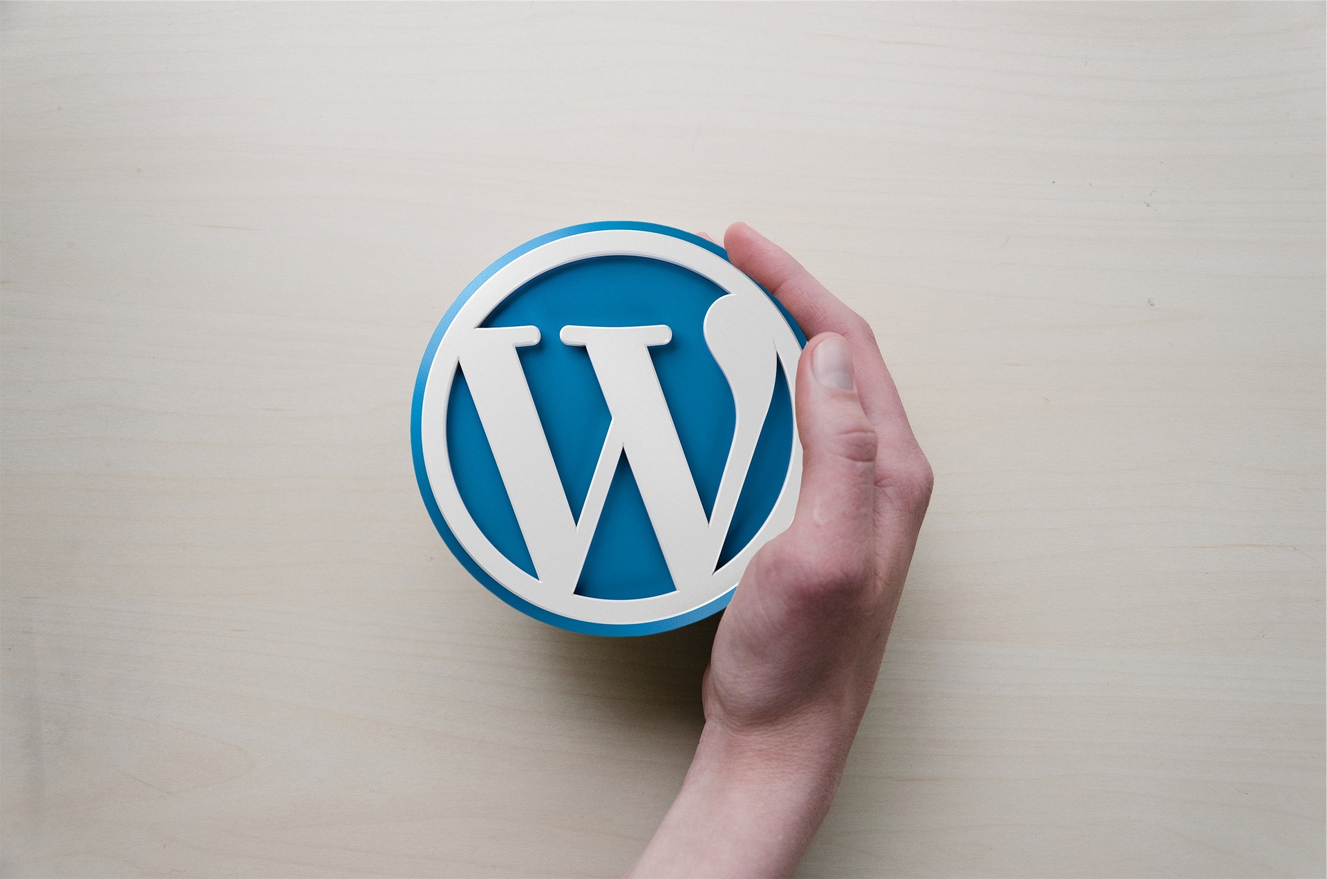 What Does A WordPress Designer Do?