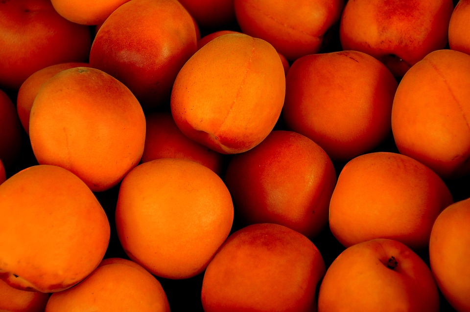 How to Buy Apricot Kernels