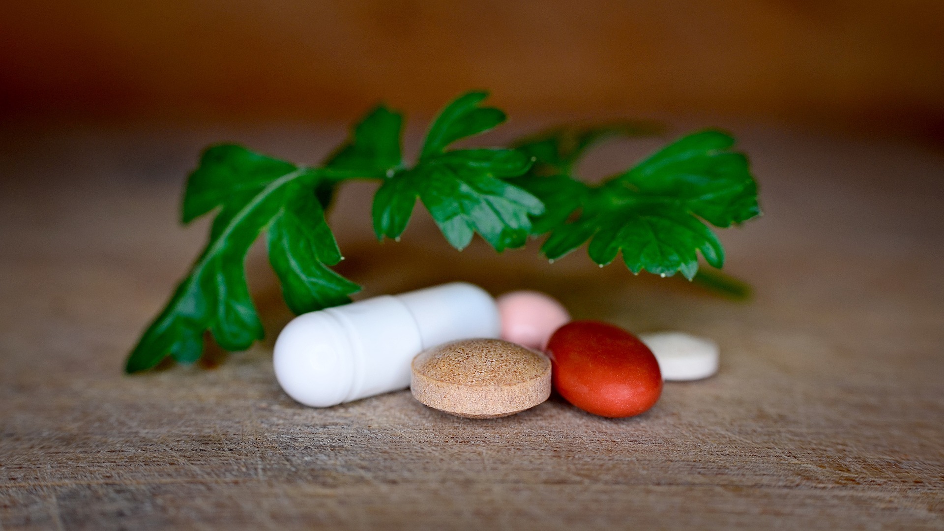 Gut Health Supplements For Optimal Health