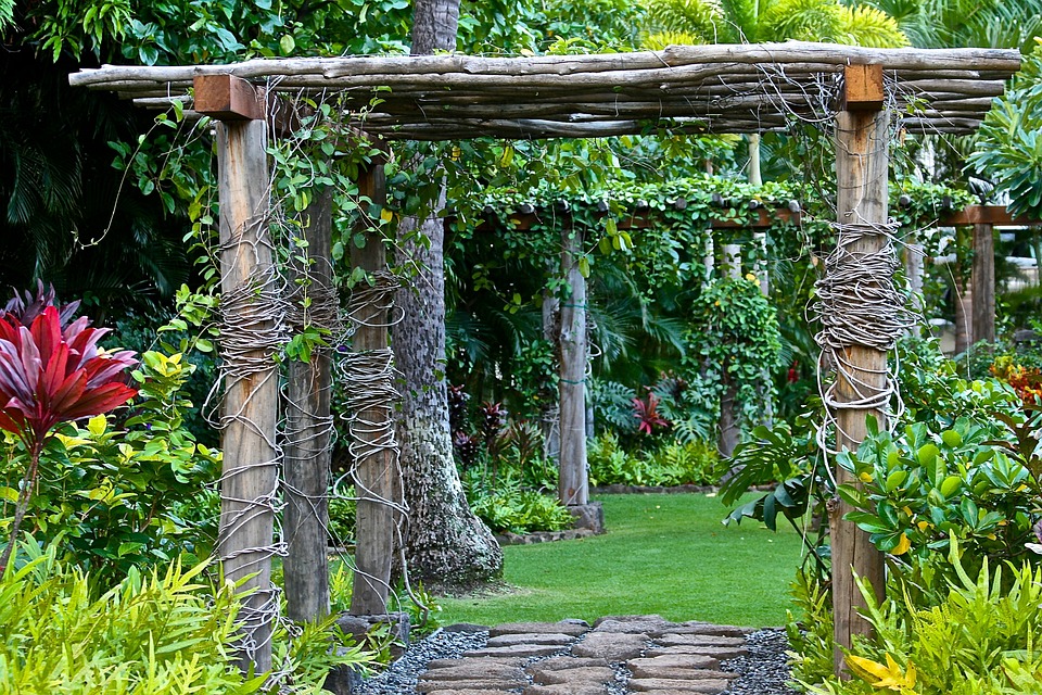 Creating an Outdoor Oasis: Tips for Designing Your Backyard Paradise