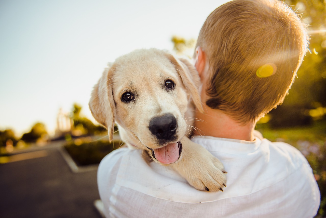 The Best Special Pet Products for Your Furry Friends