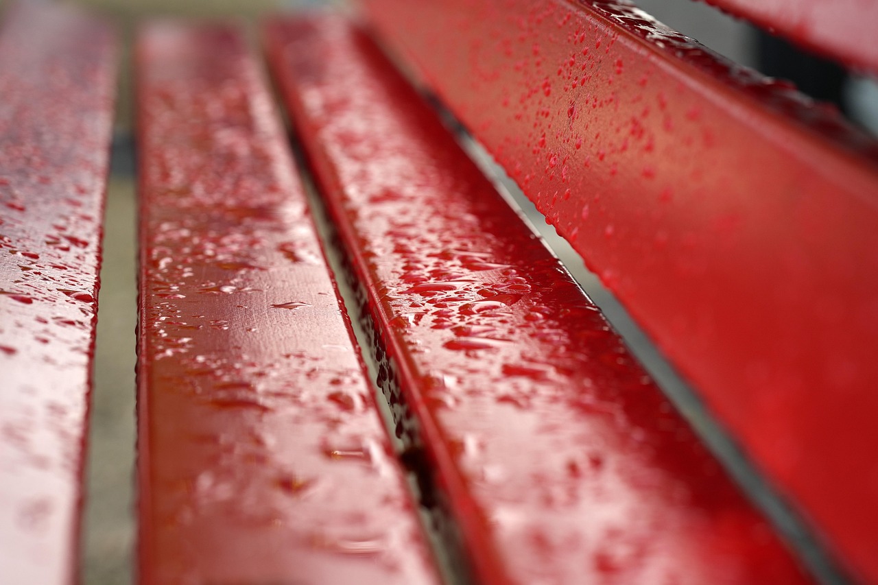 red-8135048_1280