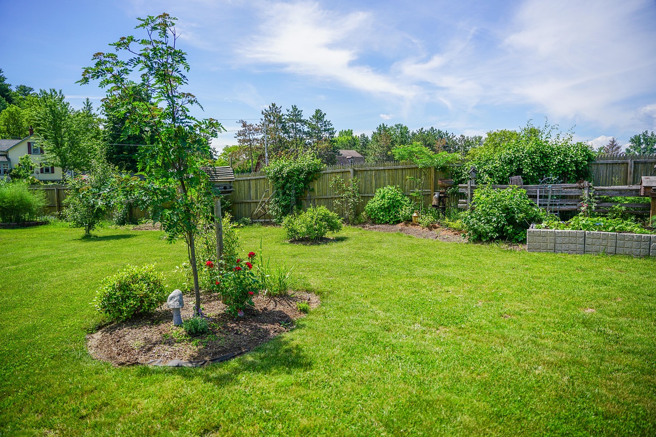 landscape-7380474_1280
