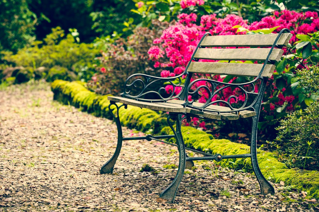 Empty wooden bench surrounded by vibrant flowers in a garden